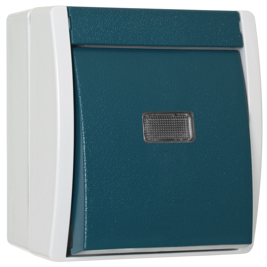 BUSCH-JAEGER - OCEAN, AP/FR - 2621 W-53-206 Taster, Wechsler