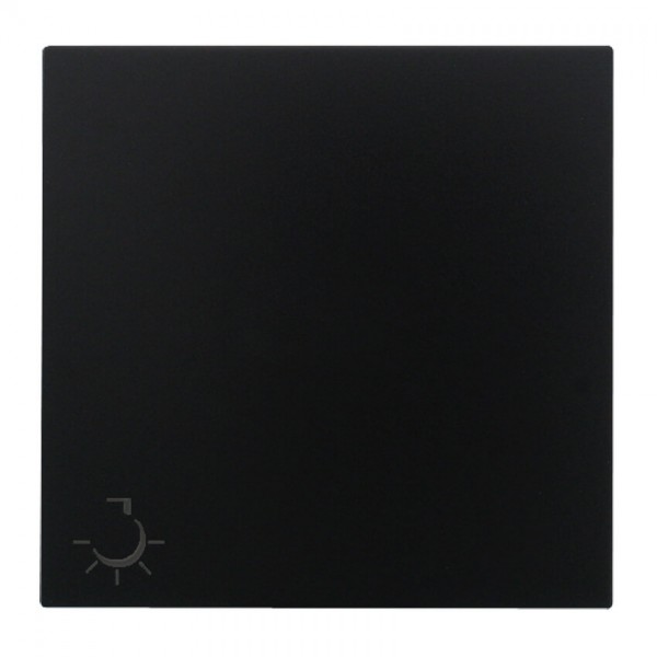 EFAPEL® - Wippe mit Symbol "Licht", für Taster, LOGUS 90, schwarz matt